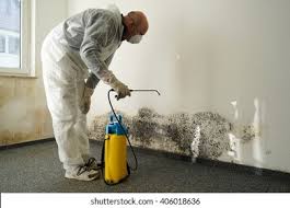 Mold Remediation for Rental Properties in Rochester, NH